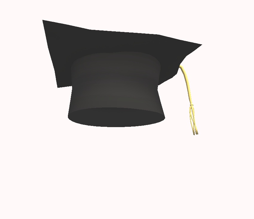 Graduation Hat