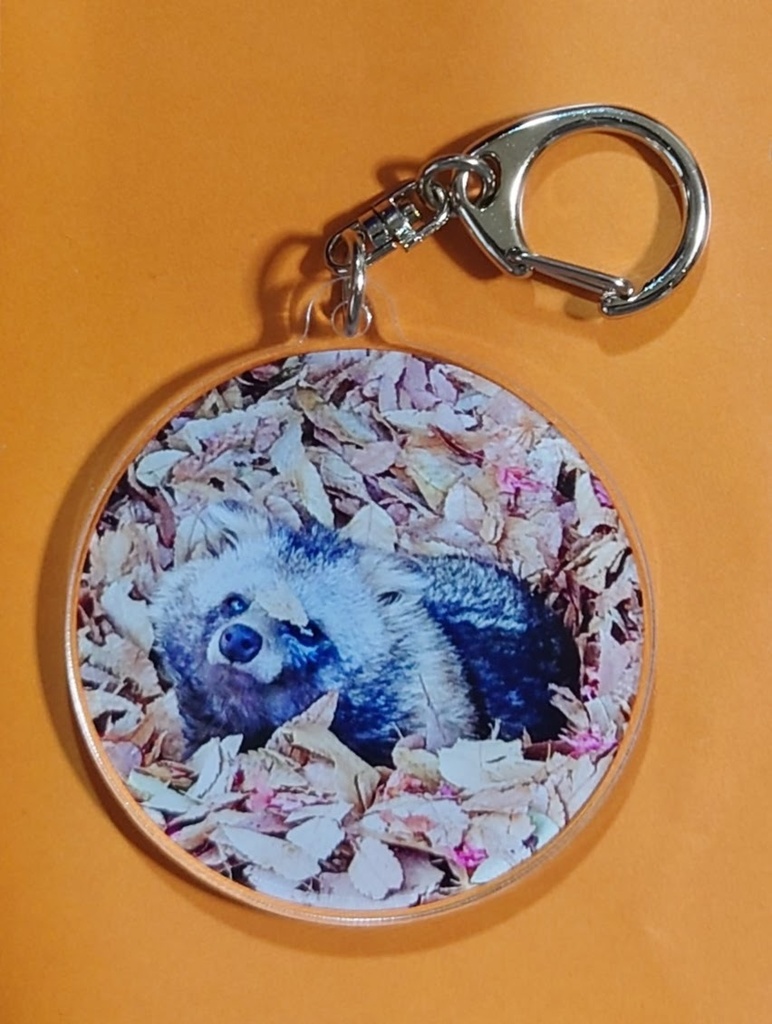 夢見ヶ崎の春夏秋冬パート5+フォトキー