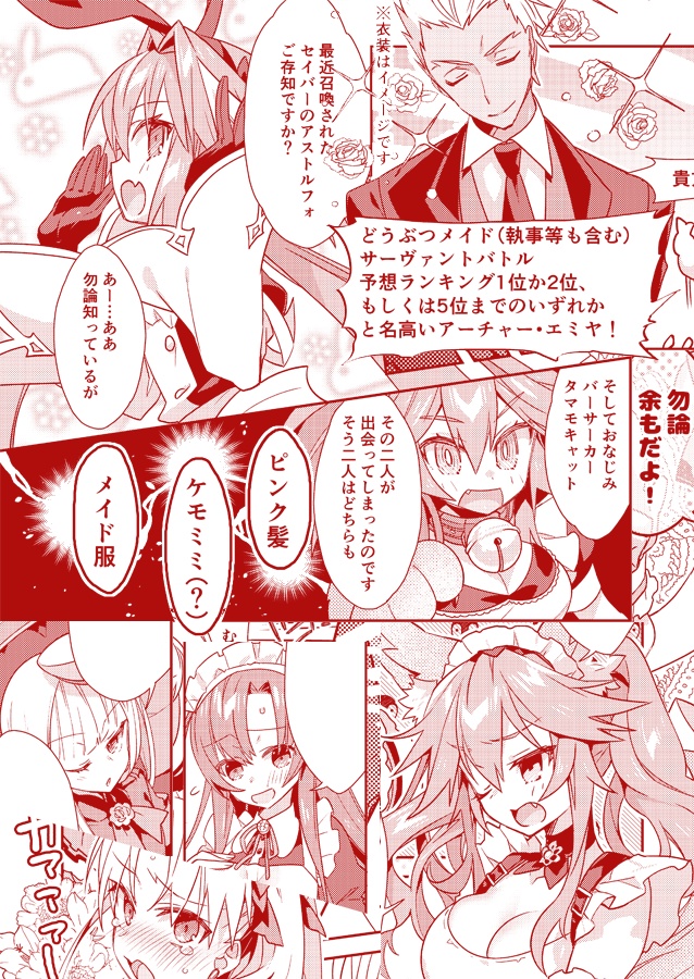 どうぶつメイドバトル(漫画本)