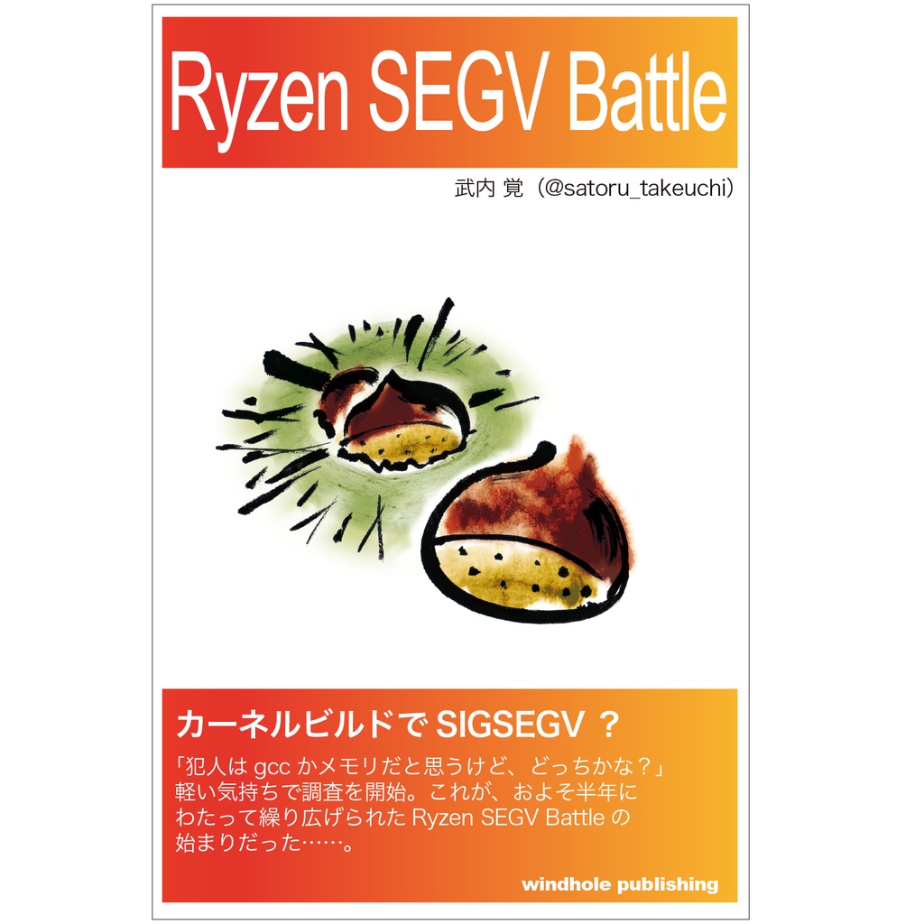 Ryzen SEGV Battle／武内 覚・著