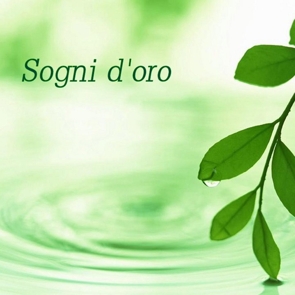 Sogni d'oro(DL版)
