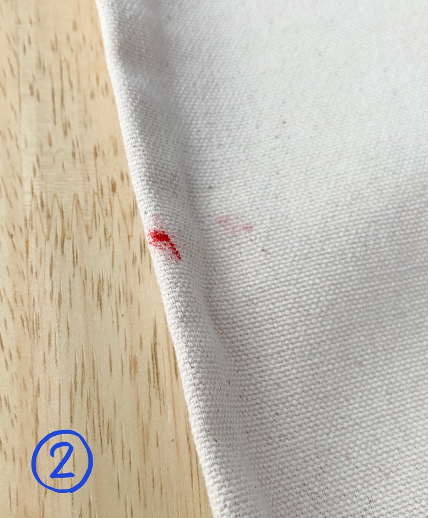 友情の鱗片 トート(ワケアリ)