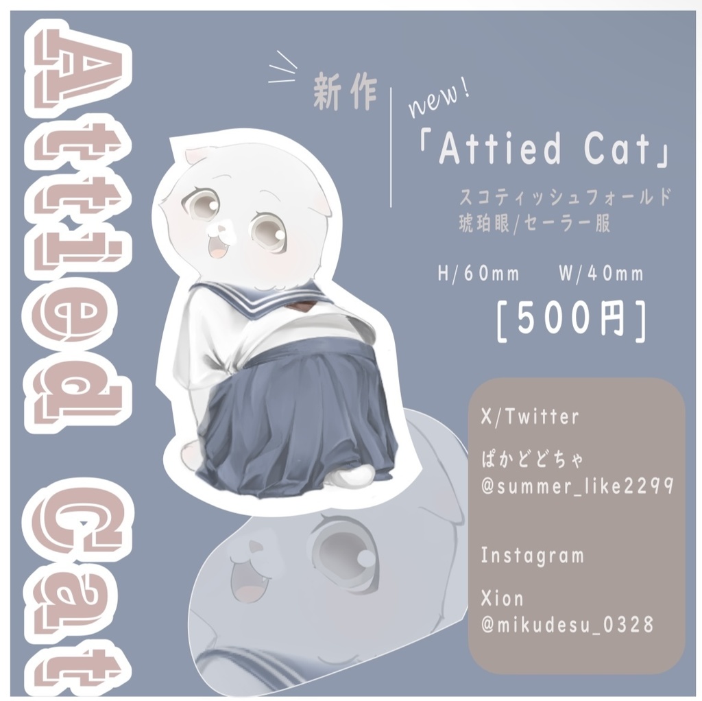 猫ちゃんセーラー服スコティッシュフォールド