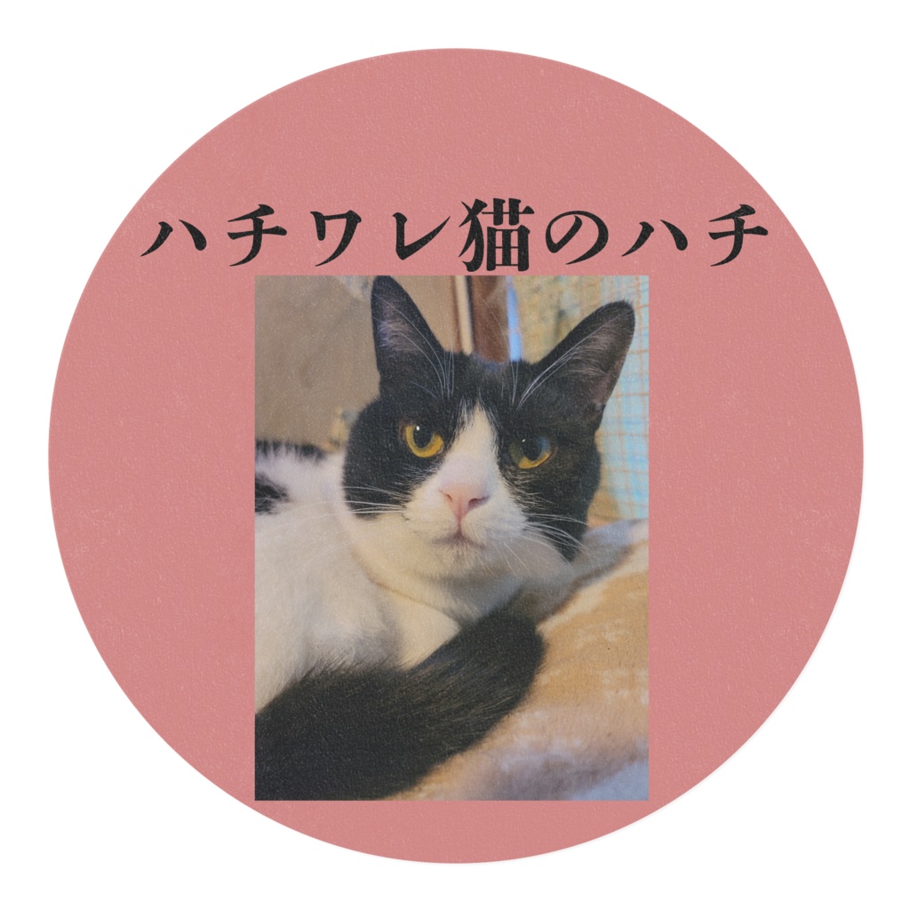 はっちゃんマステ