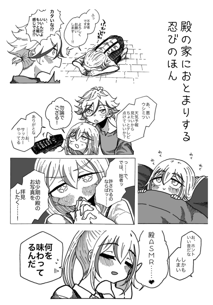 殿の家におとまりする忍びのほん