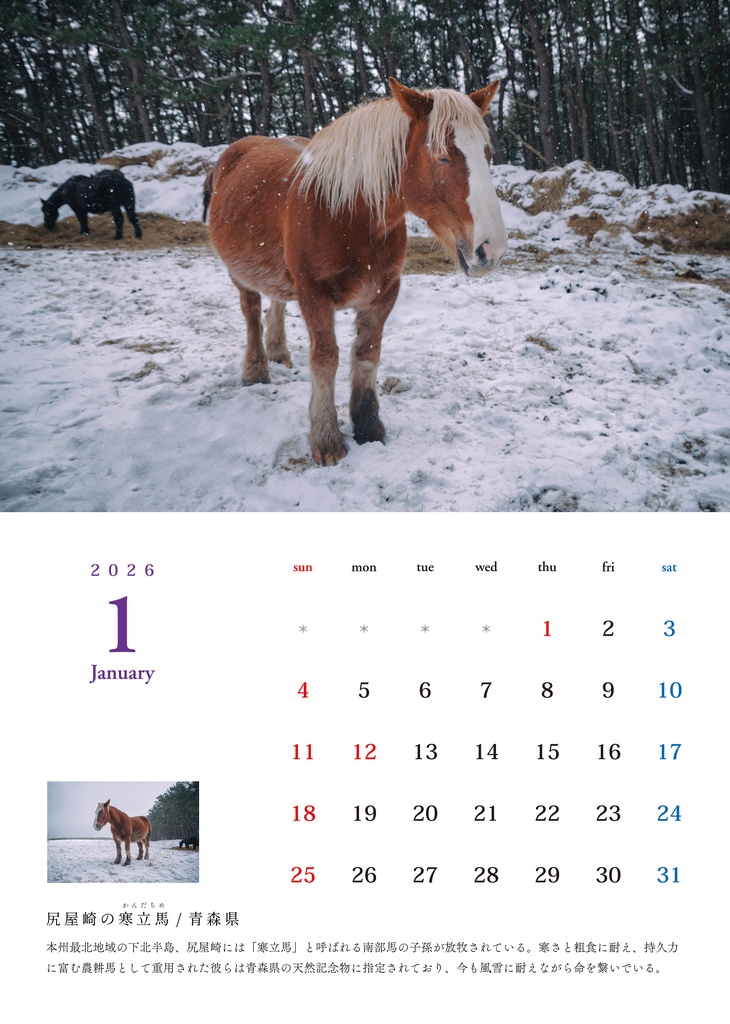 鄙び暦 2026【発送12/26〜】