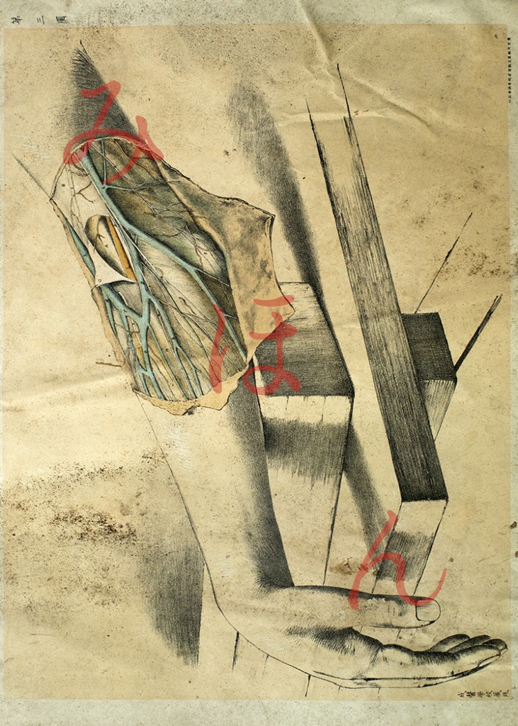 廃醫院解剖図オリジナルカードセット