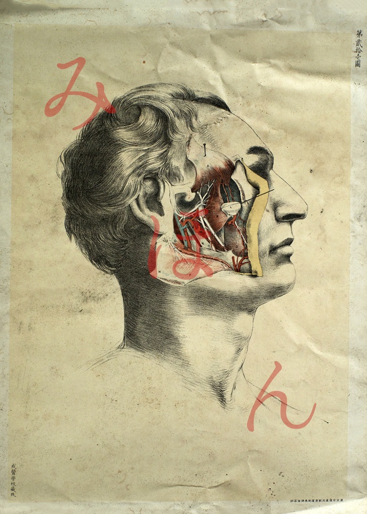 廃醫院解剖図オリジナルカードセット