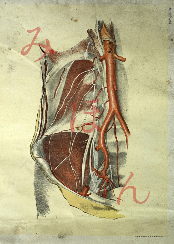 廃醫院解剖図オリジナルカードセット