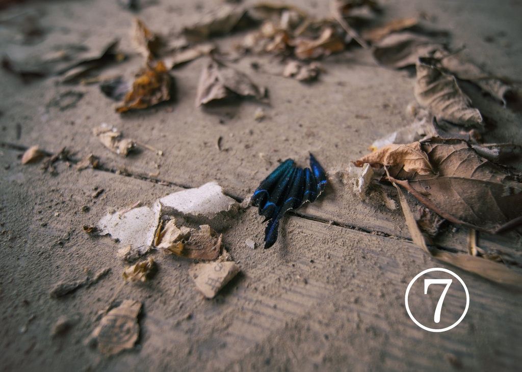 異界廃墟展 出展パネル(エアコミケ受注生産 1/15終了)