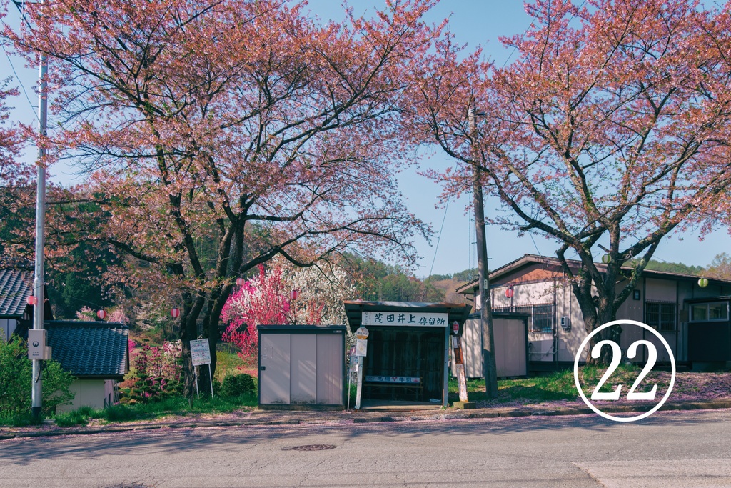 オーダーメイド写真パネル(木枠+マットパネル額装 10号A3 or パネル貼りA4)