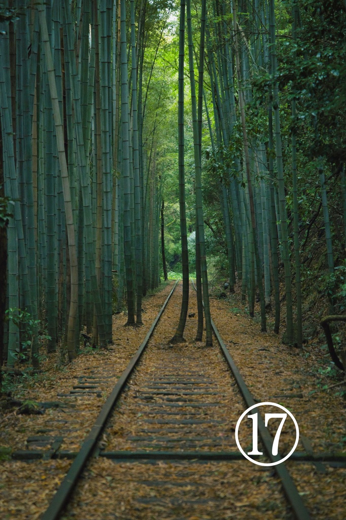 オーダーメイド写真パネル(木枠+マットパネル額装 10号A3 or パネル貼りA4)