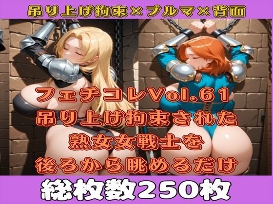 フェチコレVol.61 吊り上げ拘束された巨乳ビキニアーマー女戦士の熟女を後ろから眺めるだけ【総枚数250枚】