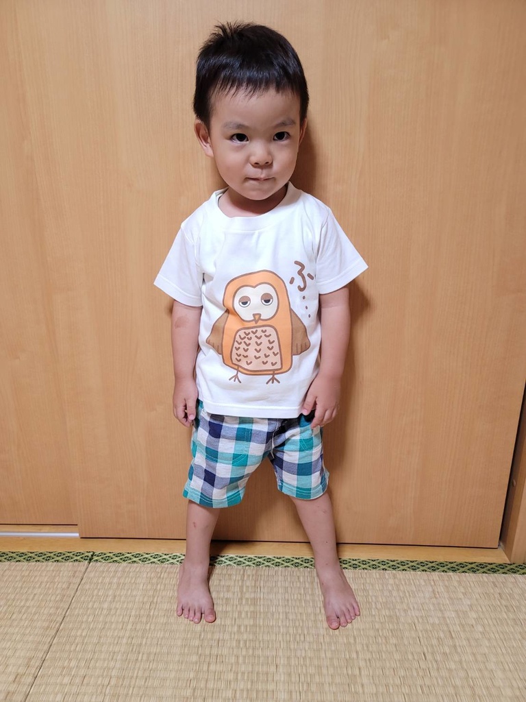 霧島を飛び回っている野鳥 ふ・・・ふくろう キッズTシャツ