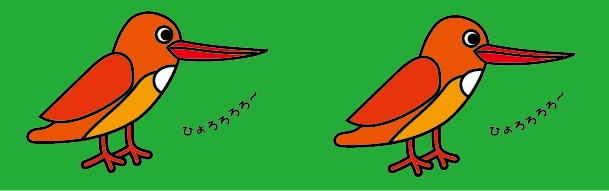 霧島を飛び回っている野鳥 火の鳥 アカショウビン マスキングテープ