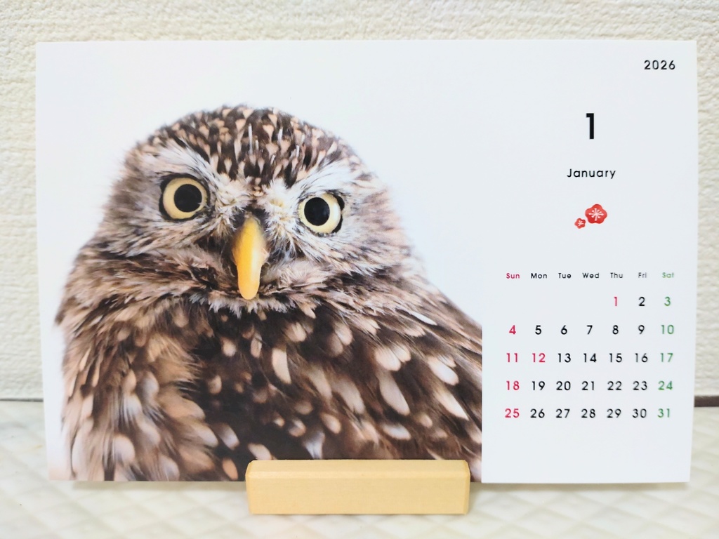 ぴこつんチャリティーカレンダー