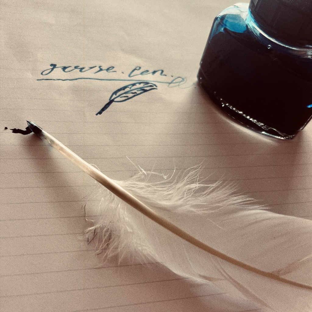   羽根ペン本物　ガチョウ羽根使用つけペン2本セット