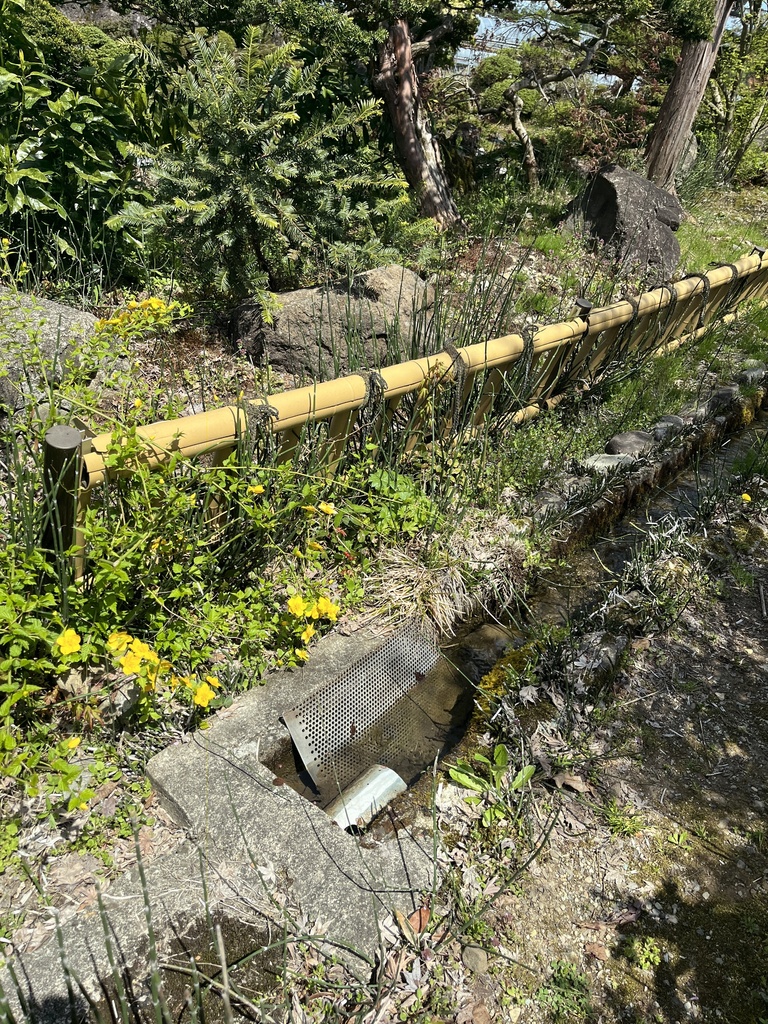 砥草 天然仕上げヤスリ 芯研器