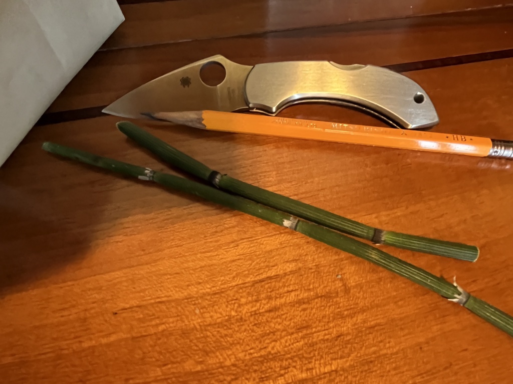 砥草　天然仕上げヤスリ　芯研器