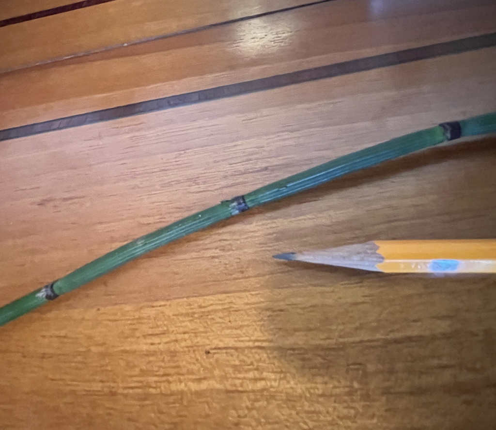 砥草 天然仕上げヤスリ 芯研器