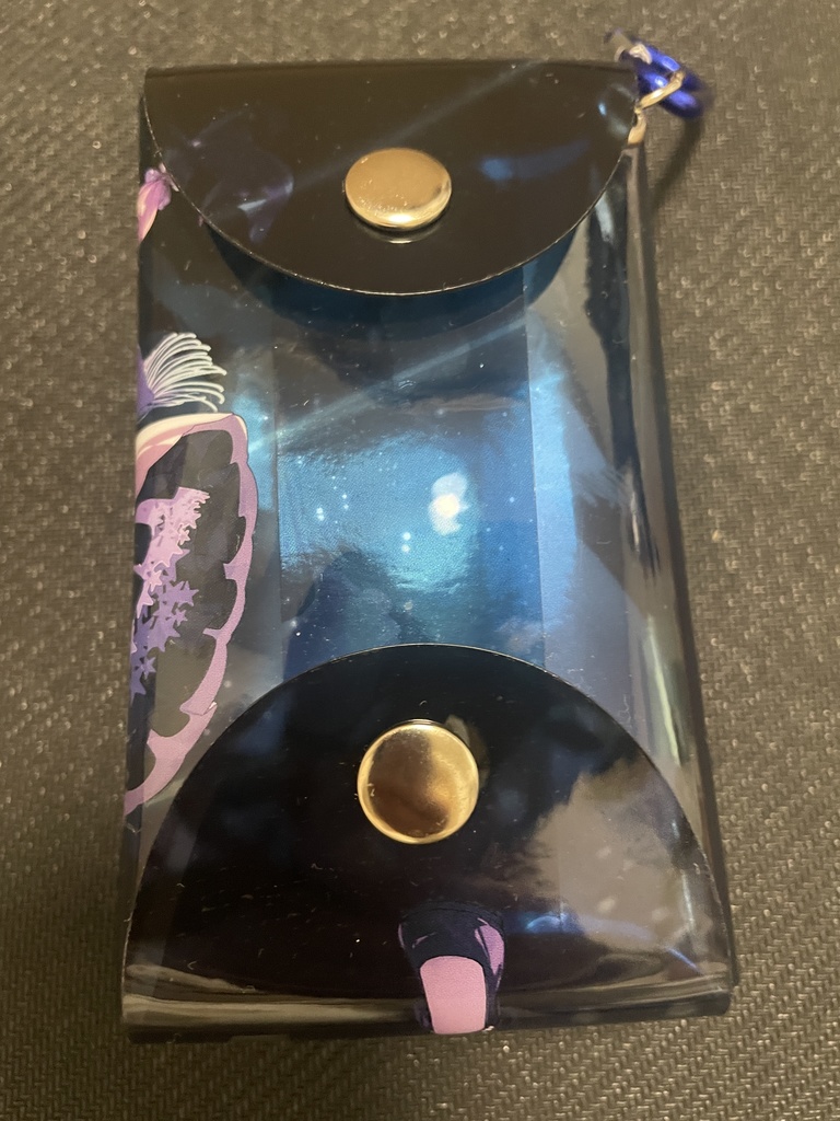 ☆海月シェル2024冬新譜リリース記念グッズ☆