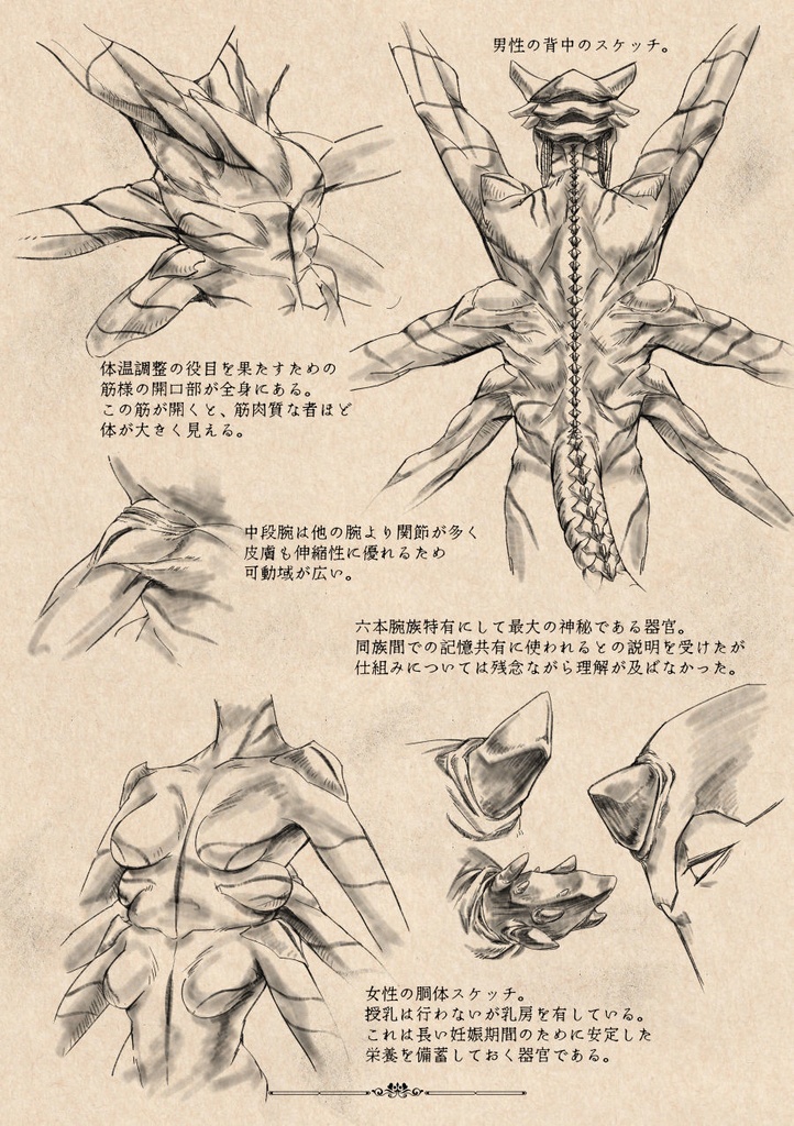 六本腕都市粗描録