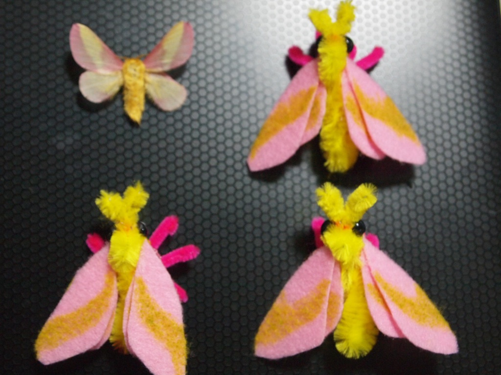 カエデガ Rosy Maple Moth フィギュア 蛾 蝶 Imomushi Booth