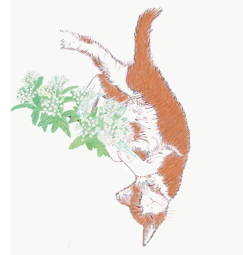 猫と小手鞠 キーホルダー