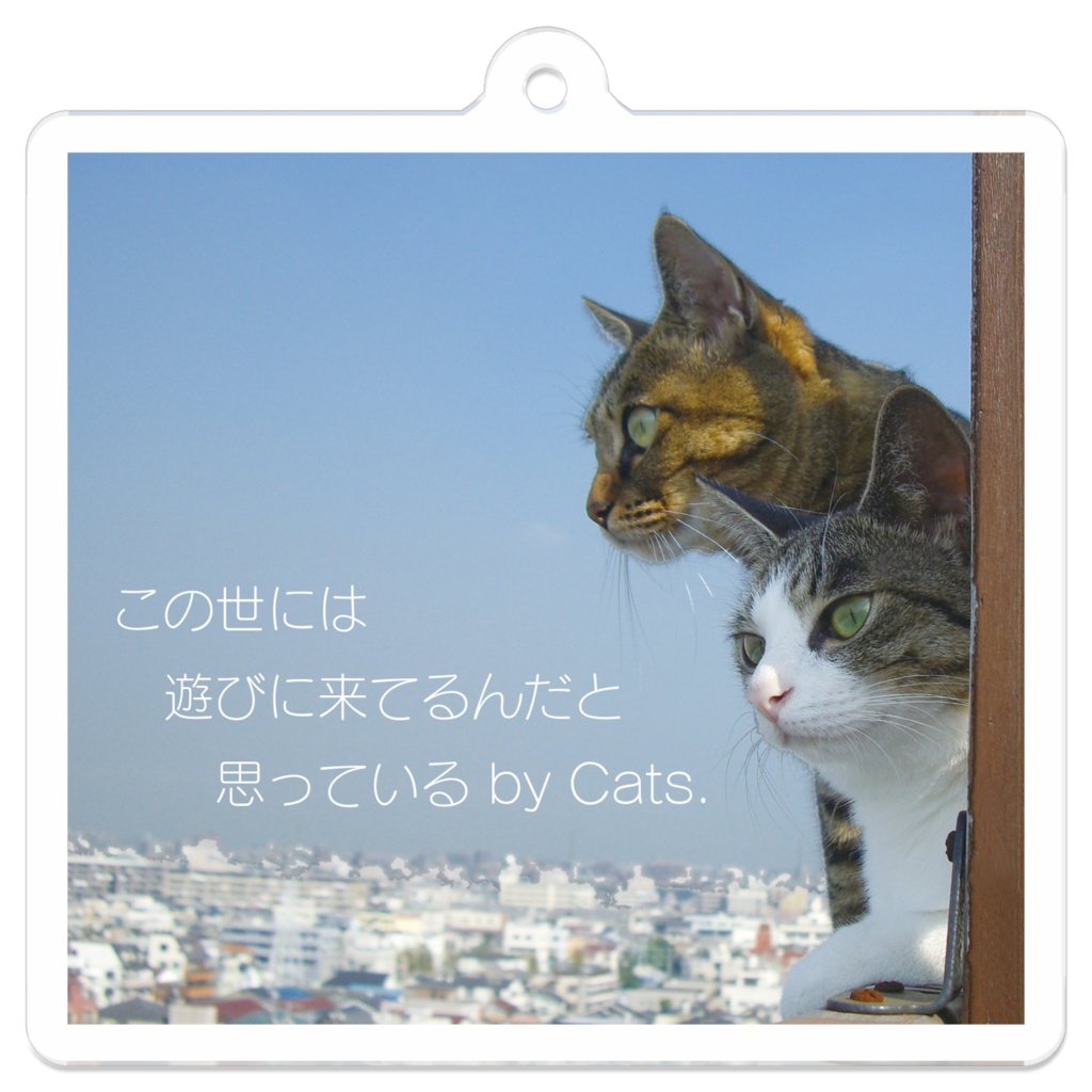 この世には遊びに来てるんだと思っている by Cats. - AiGerry アクリルキーホルダー - 50 x 50 (mm)