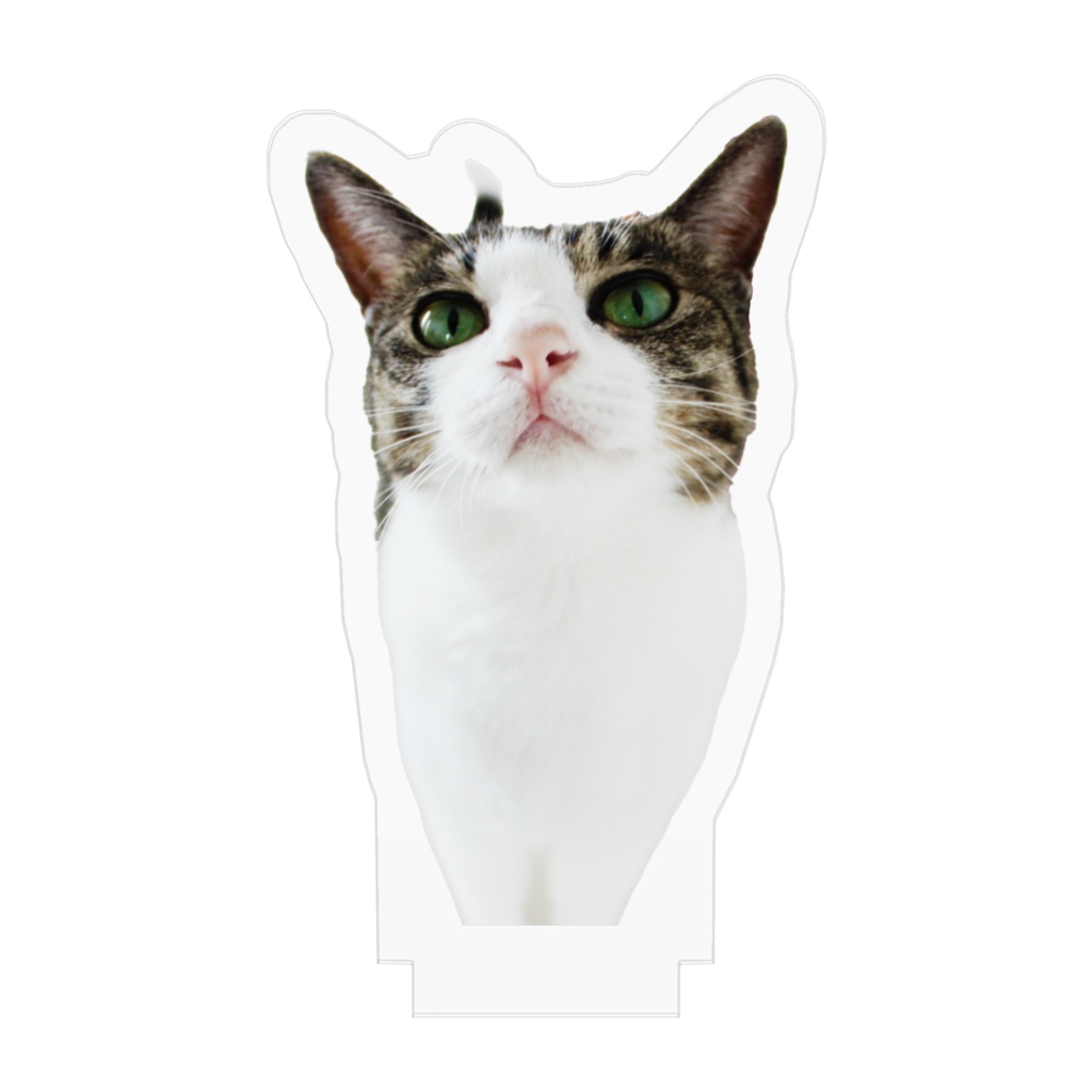 生意気ジェリー - AiGerry