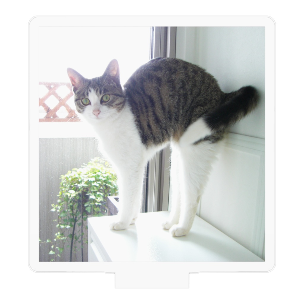 おはよう - AiGerry アクリルフィギュア - 50x50mm