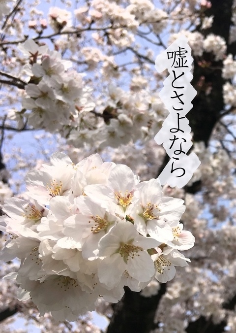 【土銀八】嘘とさよなら