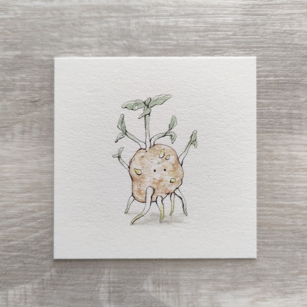 ミニ原画『じゃがいモン』①~⑤