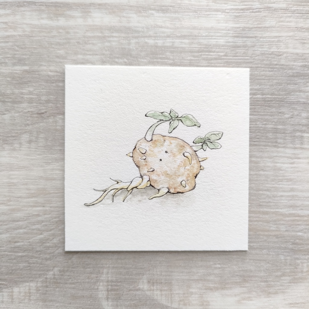 ミニ原画『じゃがいモン』①~⑤