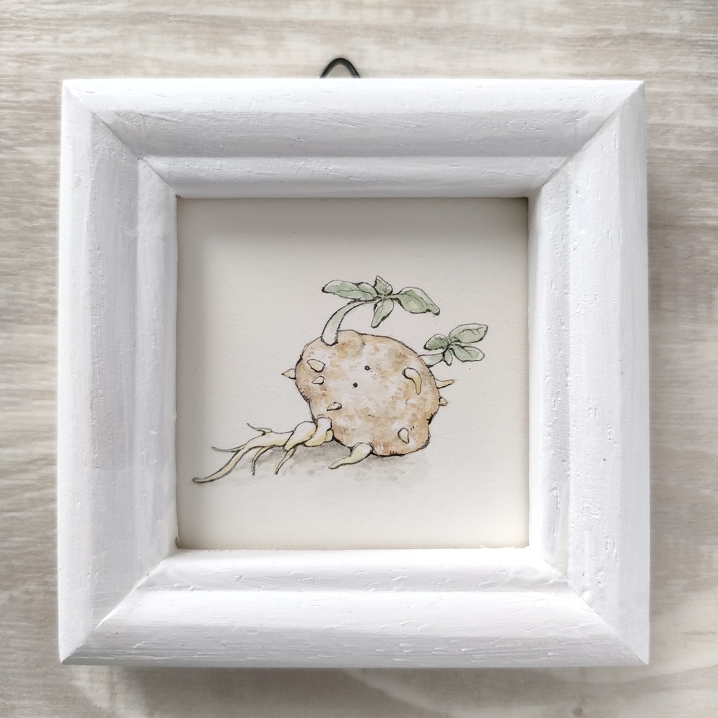 ミニ原画『じゃがいモン』①~⑤