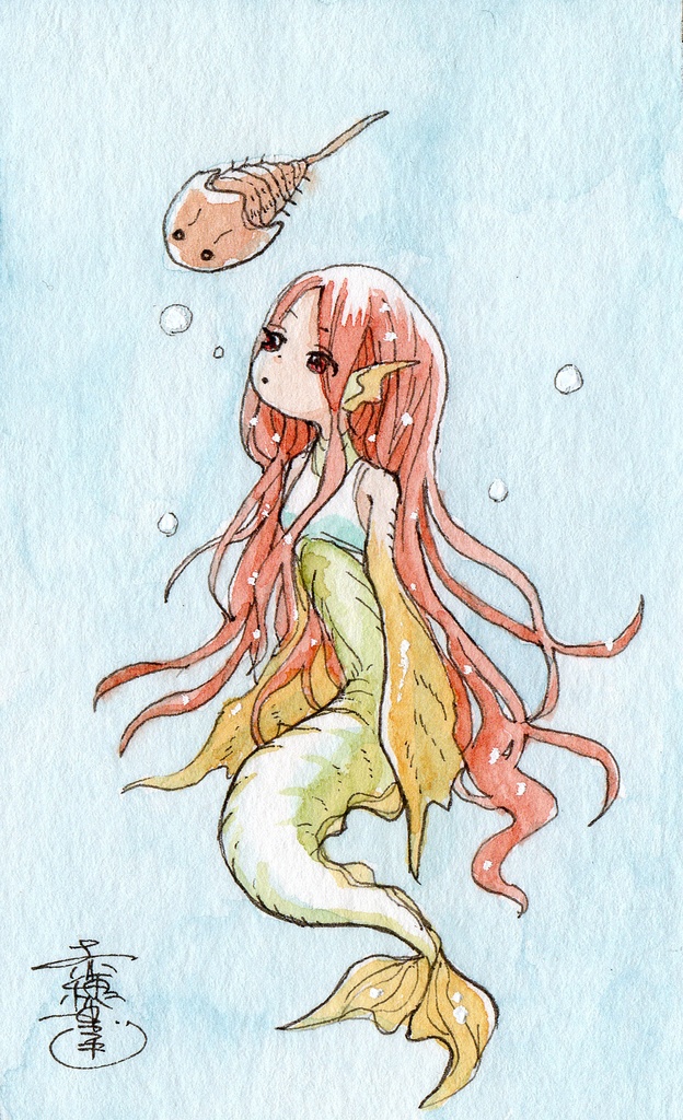 【原画イラストカード】①~⑤