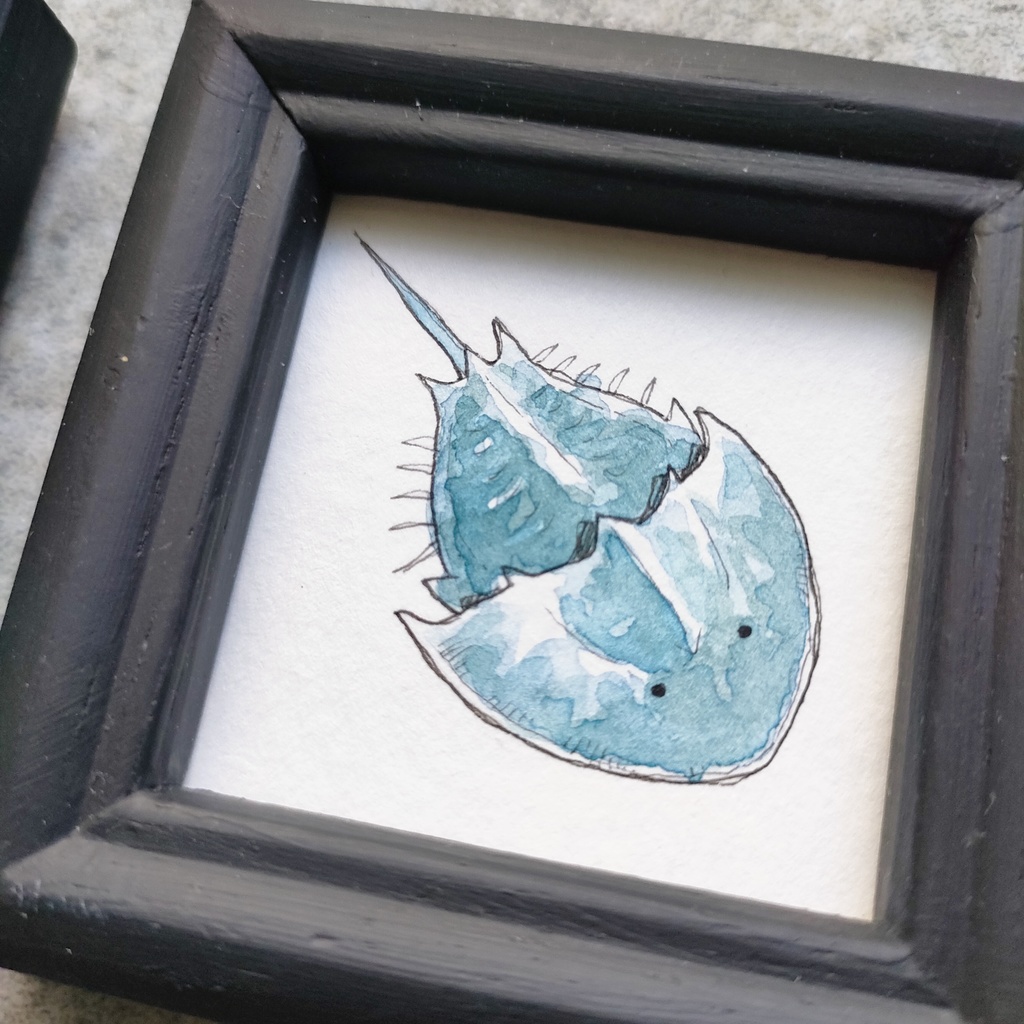 【ミニ原画】古生物…?シリーズ12種