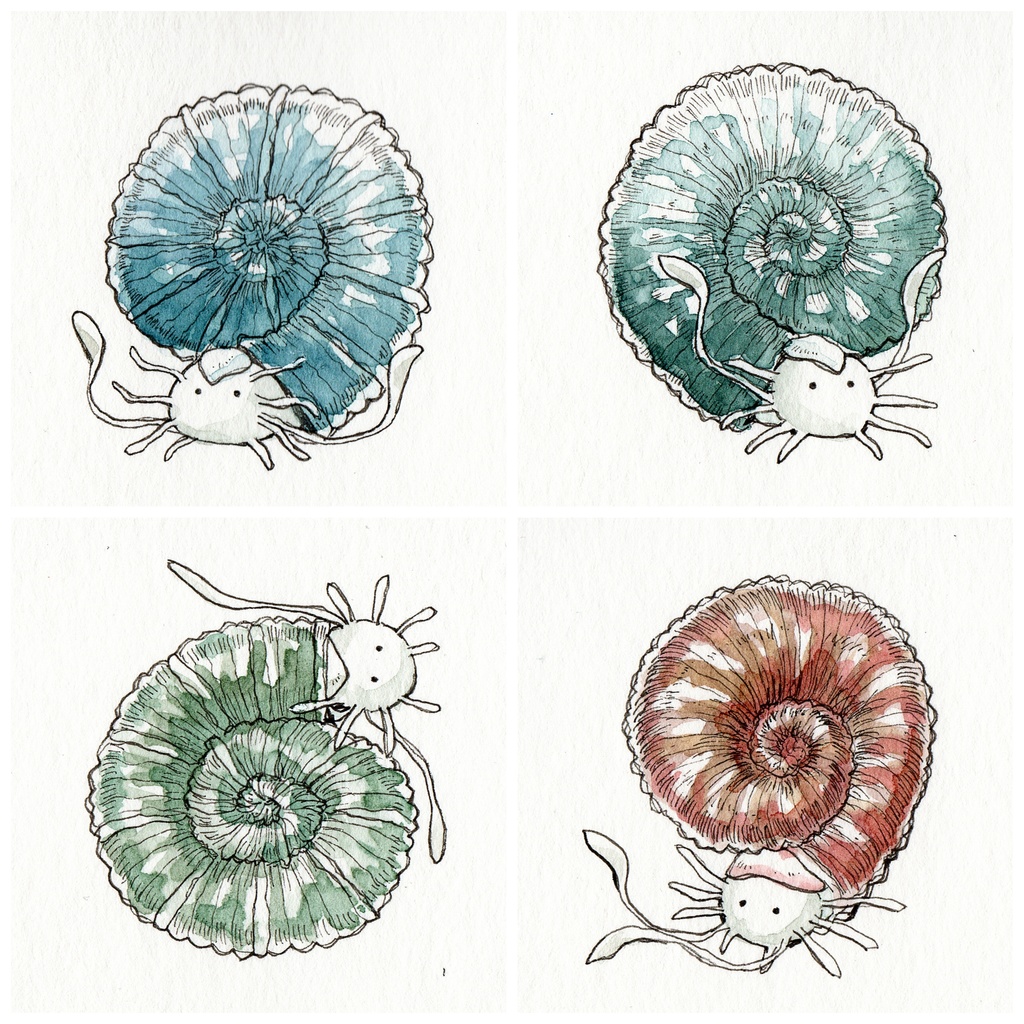 【ミニ原画】古生物…?シリーズ12種