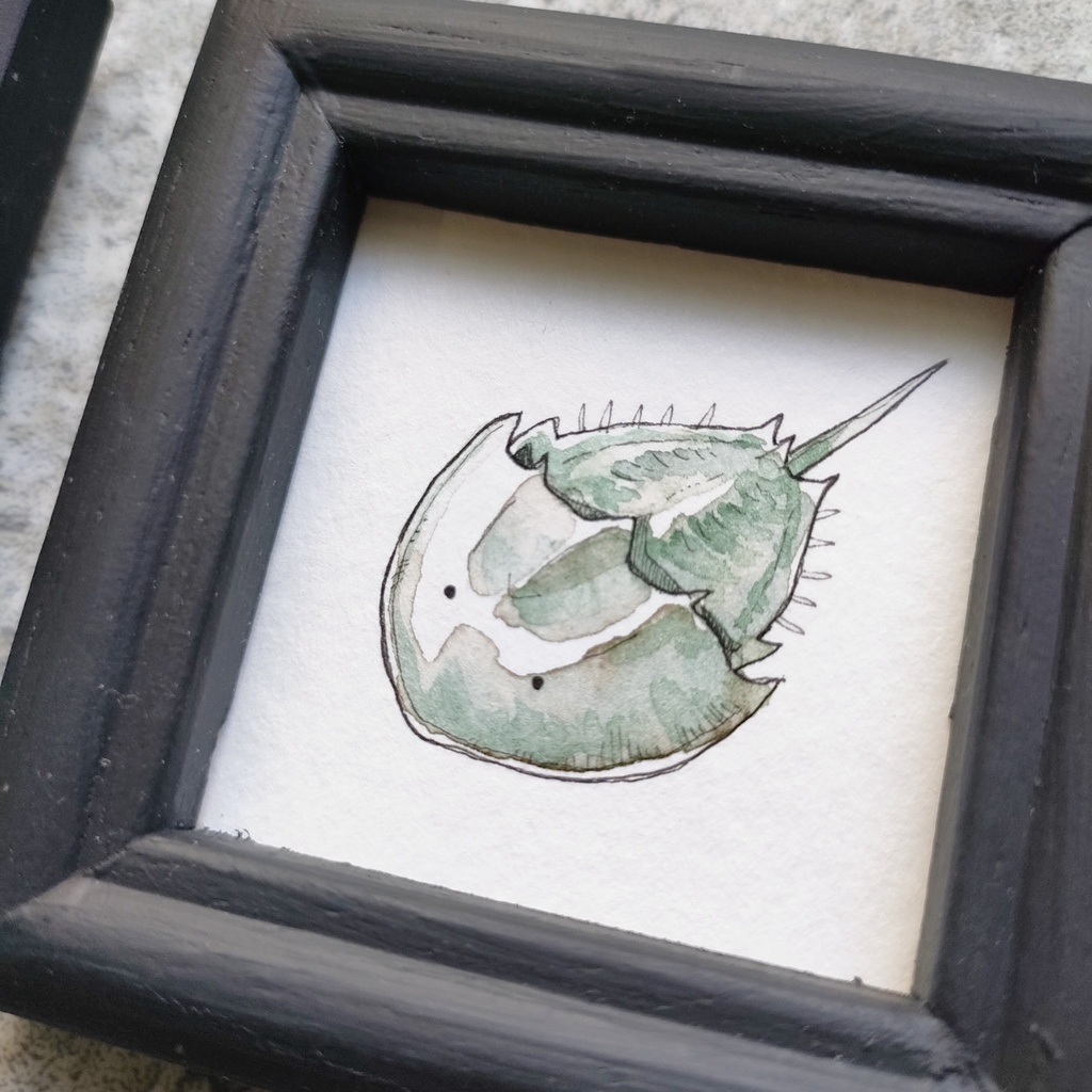 【ミニ原画】古生物…?シリーズ12種