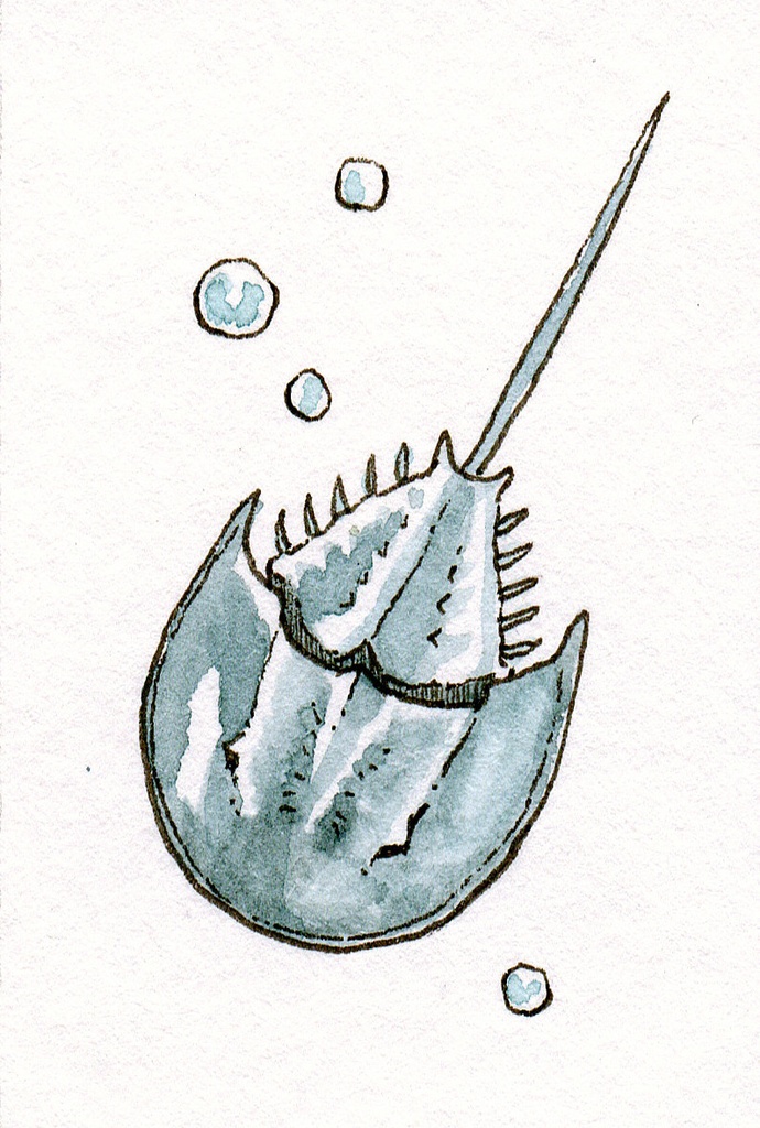 原画キーホルダー 全8種