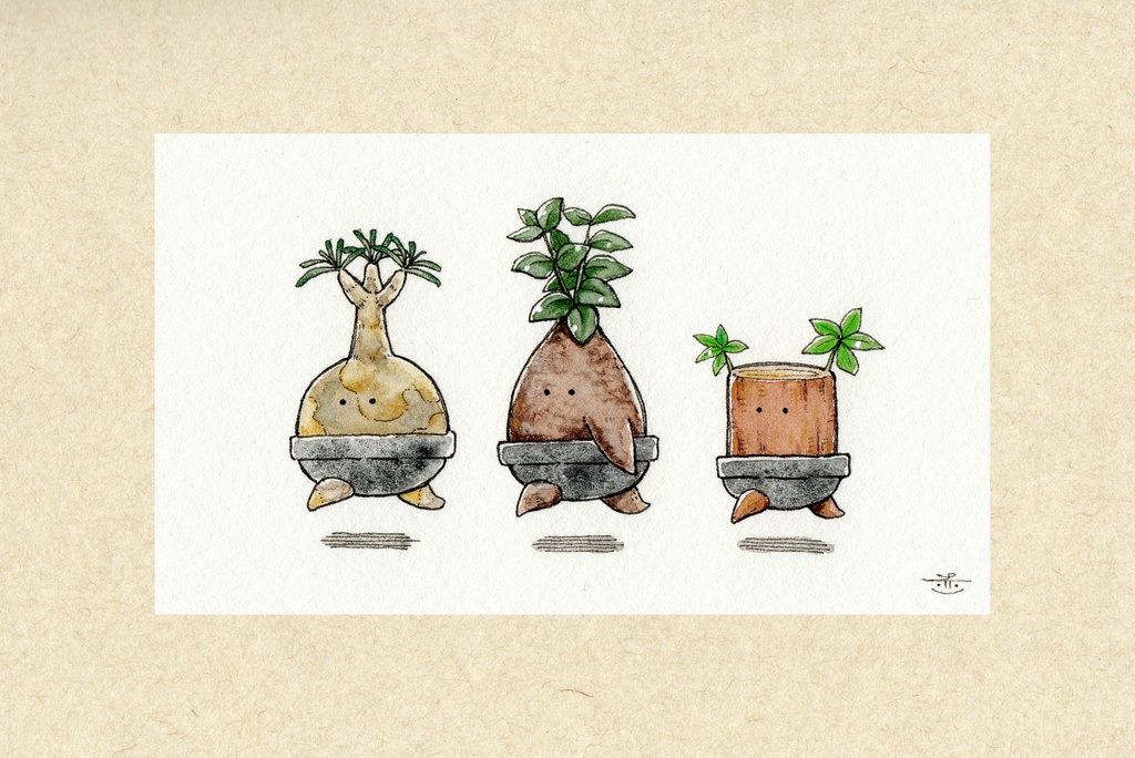 【ポストカード原画】『塊根ズA』