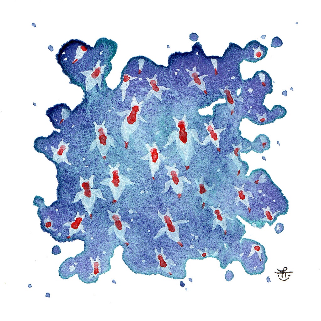 【ミニ原画】『splash!』①~⑥