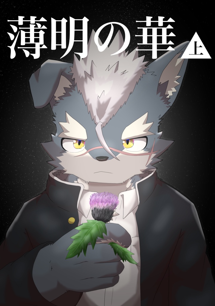 薄明の華 上