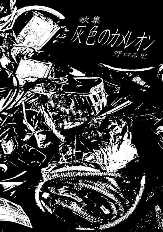 歌集「灰色のカメレオン」DL版