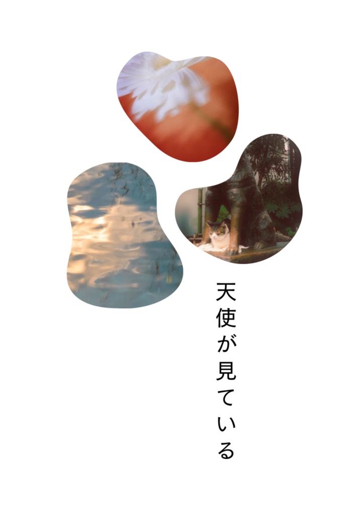 天使が見ている