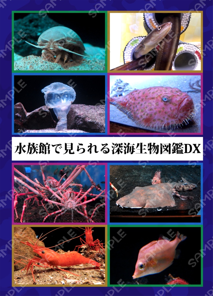 水族館で見られる深海生物図鑑DX