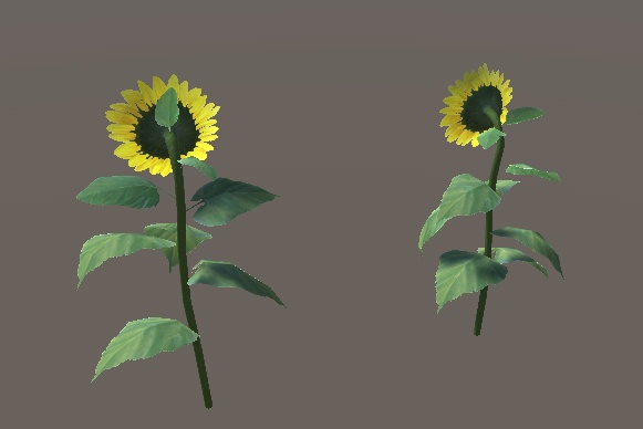 「ひまわり」【3Dモデル】