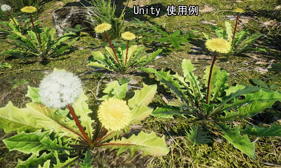 「たんぽぽ」【3Dモデル】