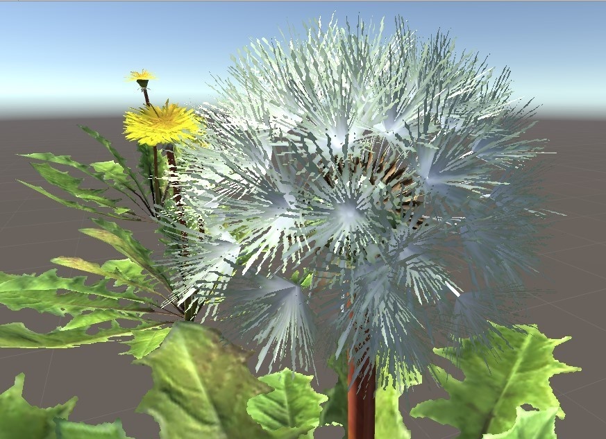 「たんぽぽ」【3Dモデル】