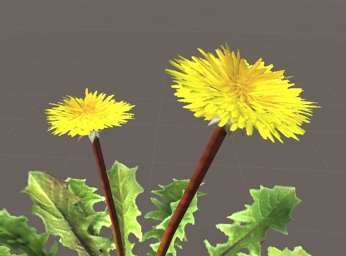 「たんぽぽ」【3Dモデル】